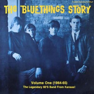 BLUETHINGS, THE - The Bluethings Story Volume One (1964-65) (LP Cicadelic 2010)